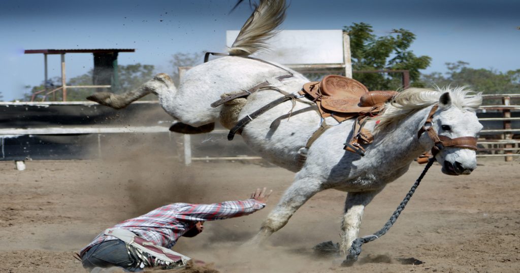 chevaux-anti-stress
