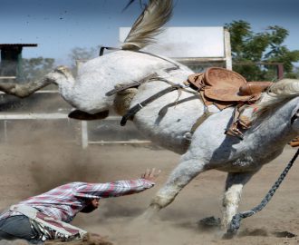 chevaux-anti-stress